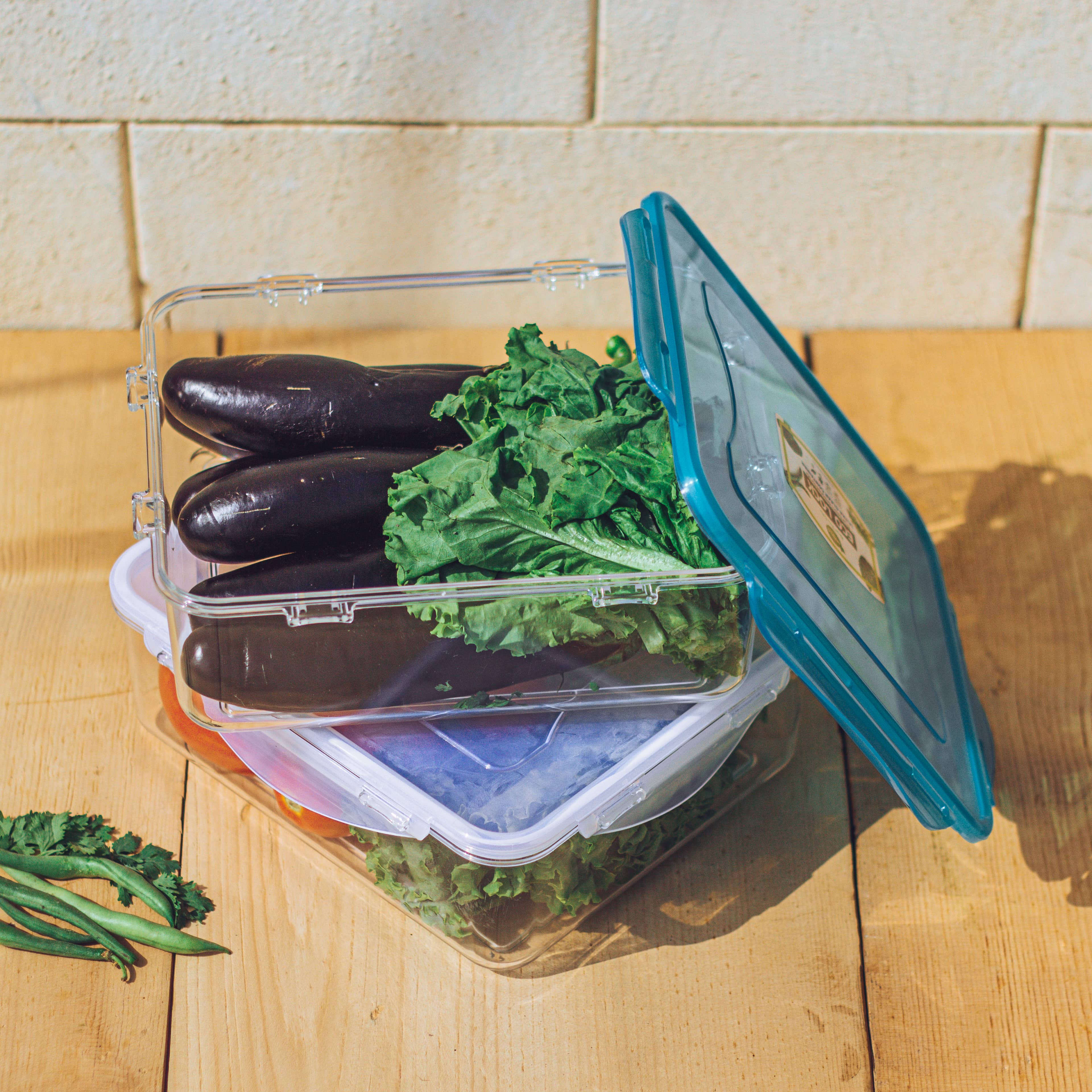 ECO LOCK ACRYLIC FOOD KEEPER (Large)