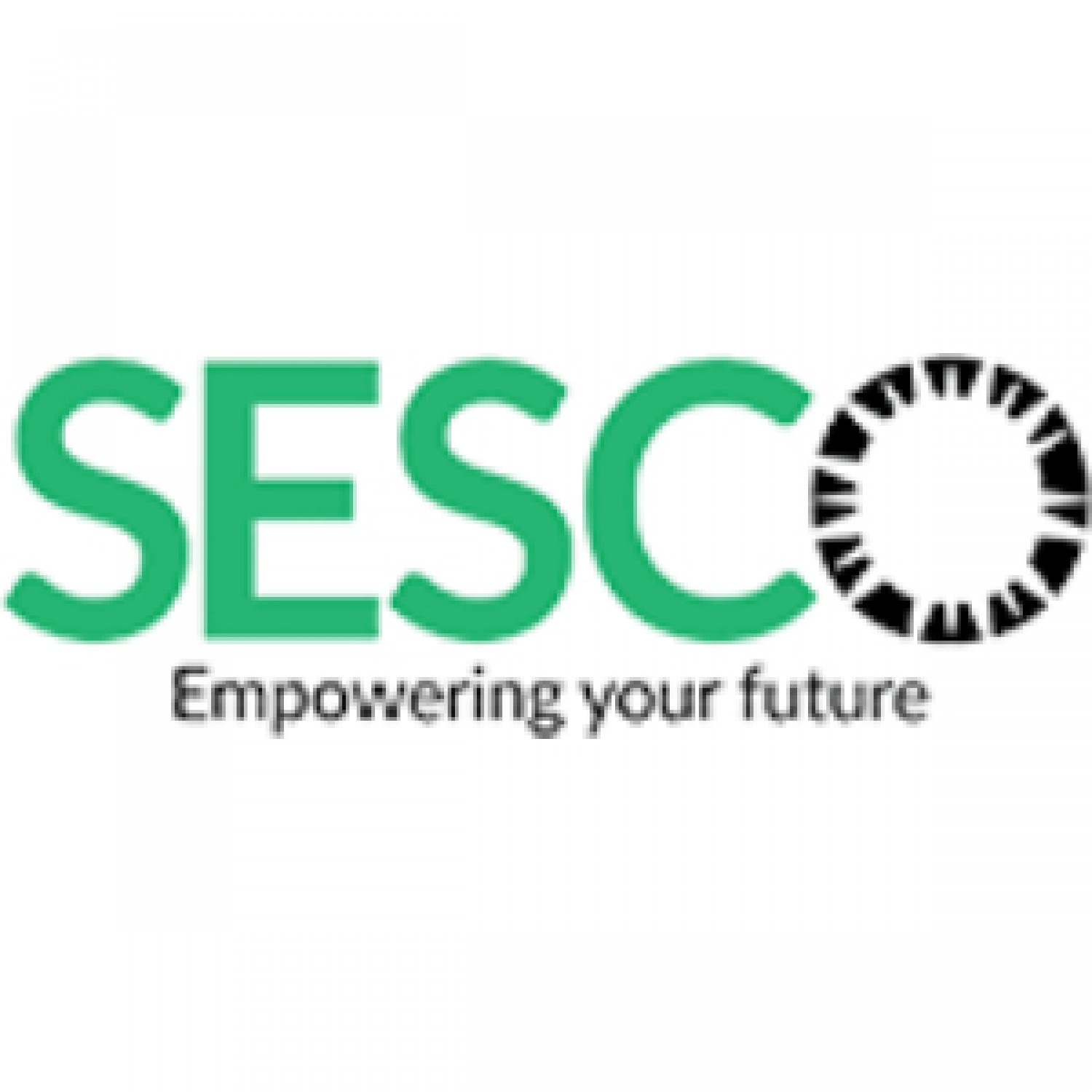SESCO | Solar Company in Pakistan